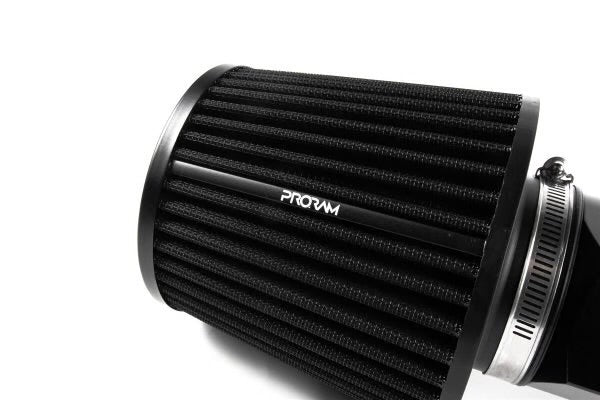Ramair Ansaugung passend für BMW M2 M3 M4 (F8x) S55