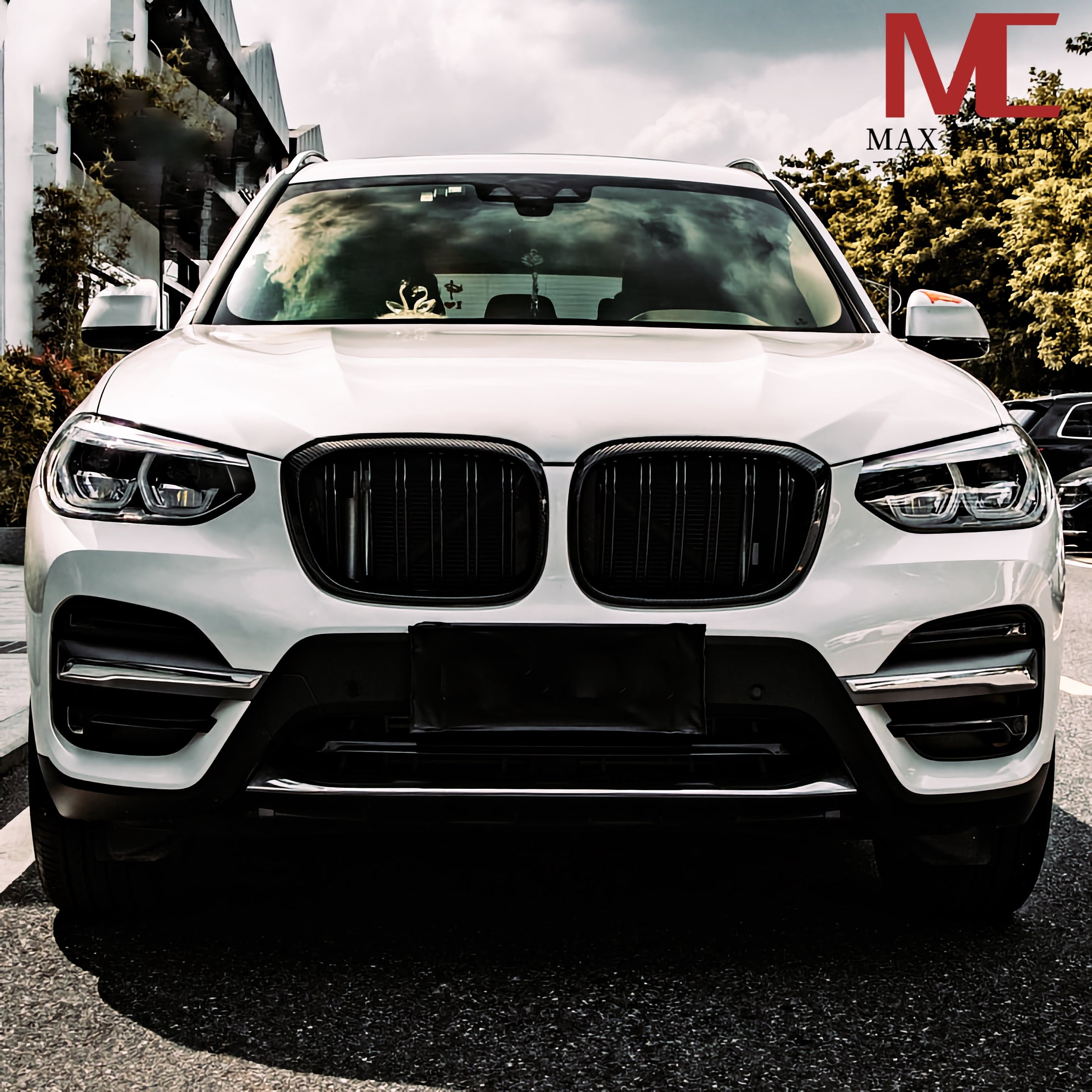 Dry Carbon Kühlergrill Nieren für BMW X3M F97 / X4M F98 / X3 G01 / X4 G02 - Pre-LCI