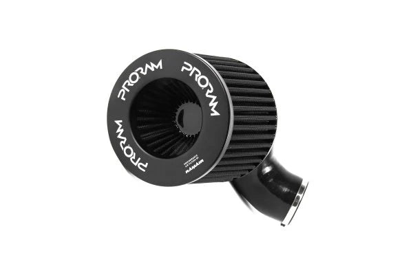 Ramair Ansaugung passend für BMW M2 M3 M4 (F8x) S55