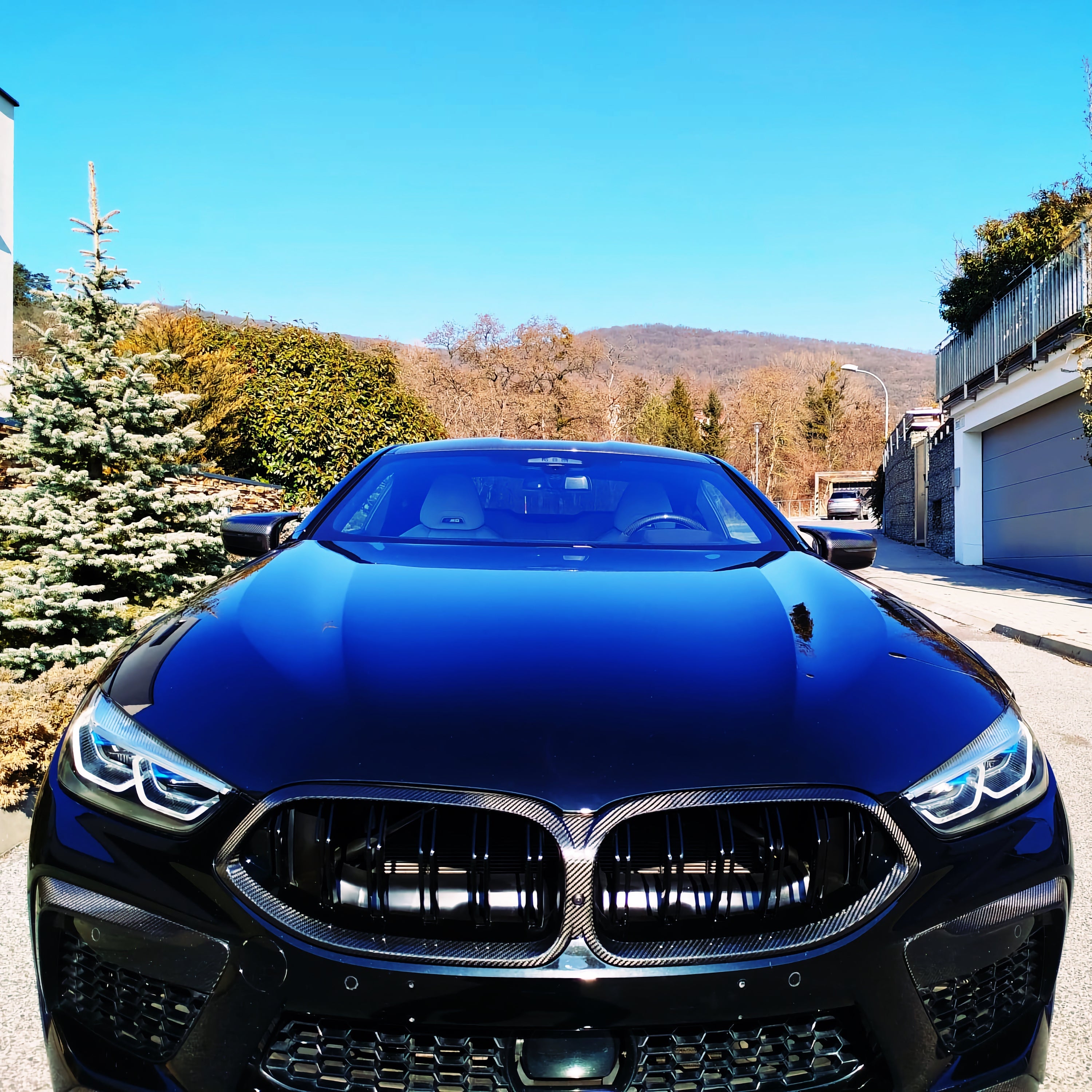Dry-Carbon Kühlergrill Nieren passend für BMW M8 F91/F92/F93 Pre-LCI – Carbon-Front