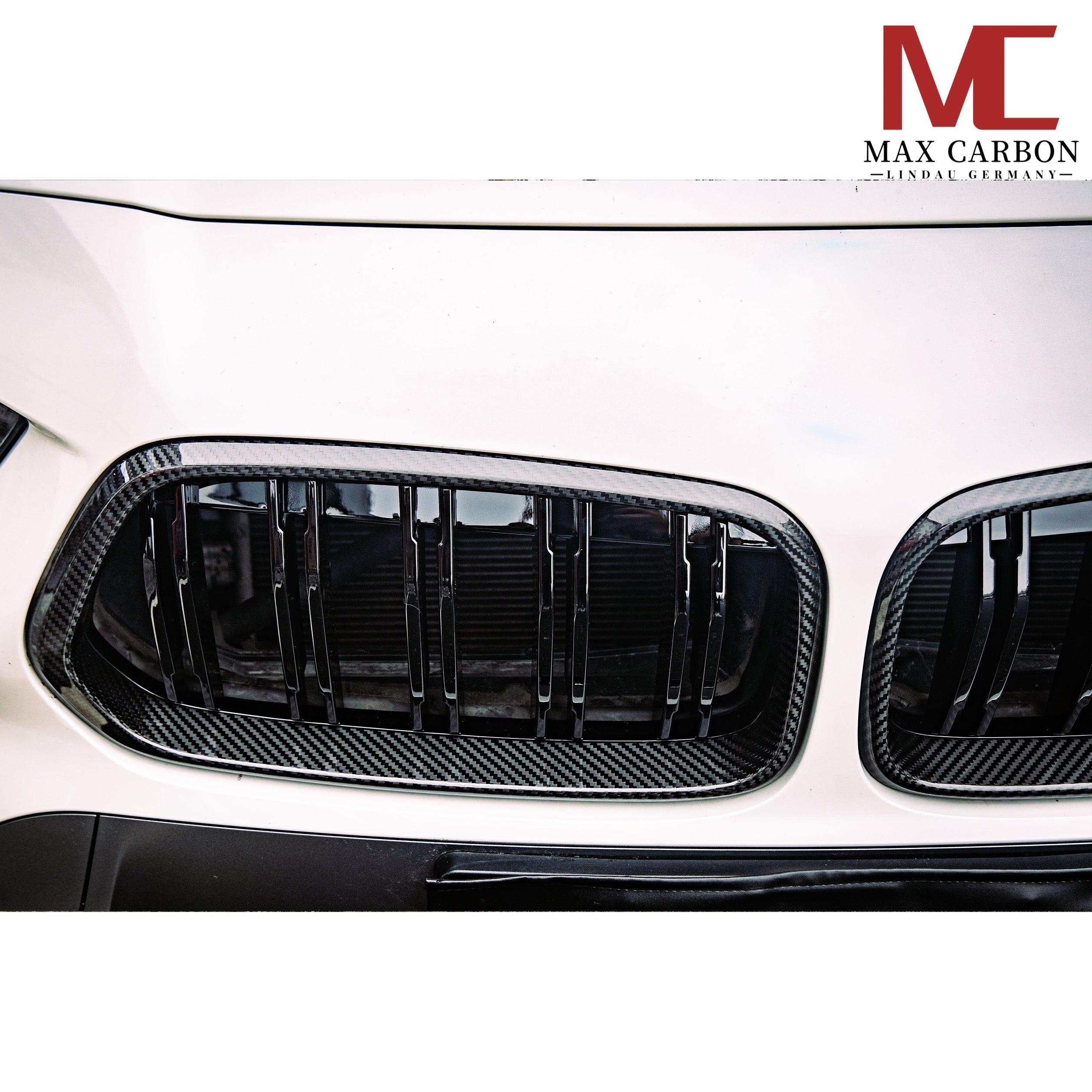 Dry Carbon Kühlergrill Nieren Gitter für BMW X2 F39