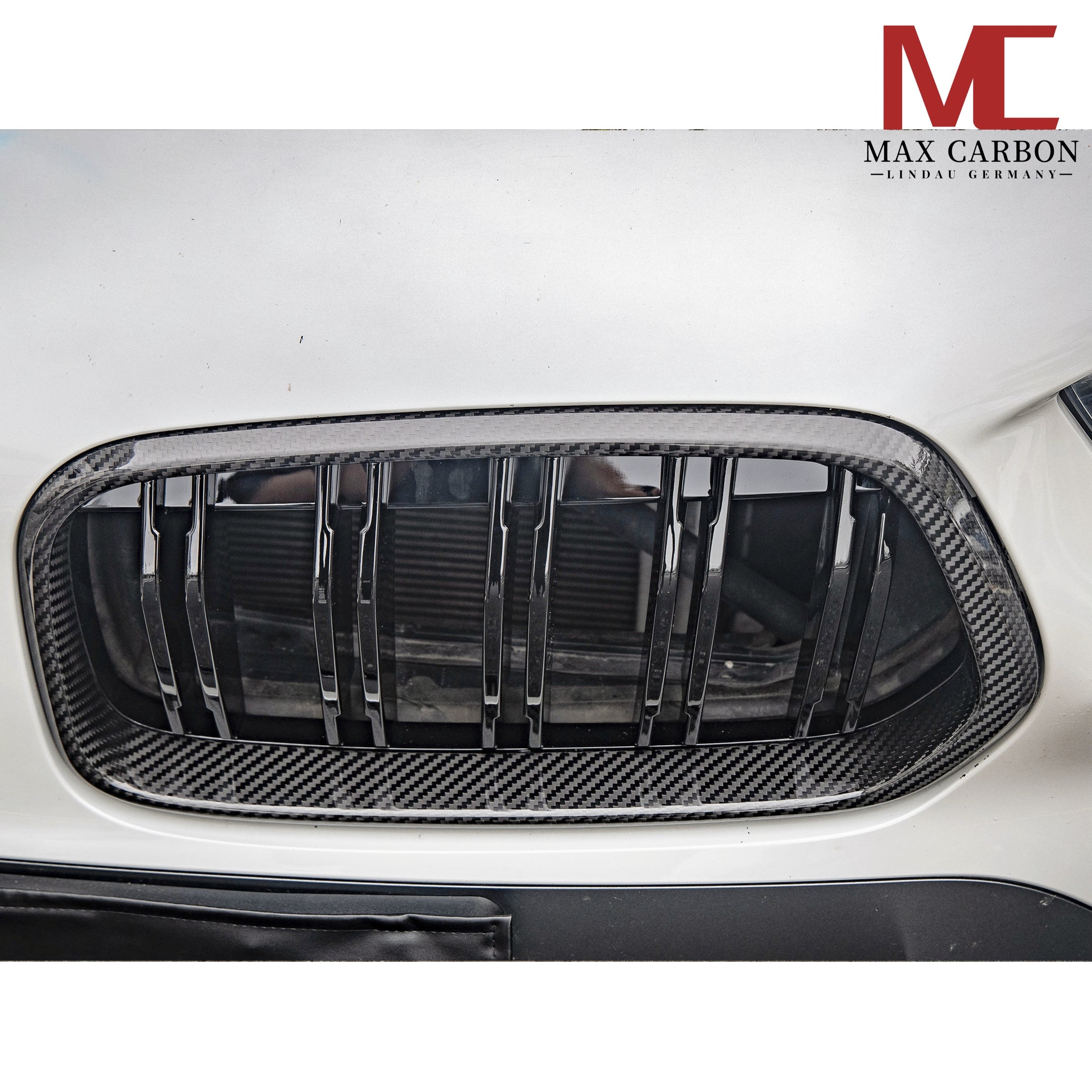 Dry Carbon Kühlergrill Nieren Gitter für BMW X2 F39