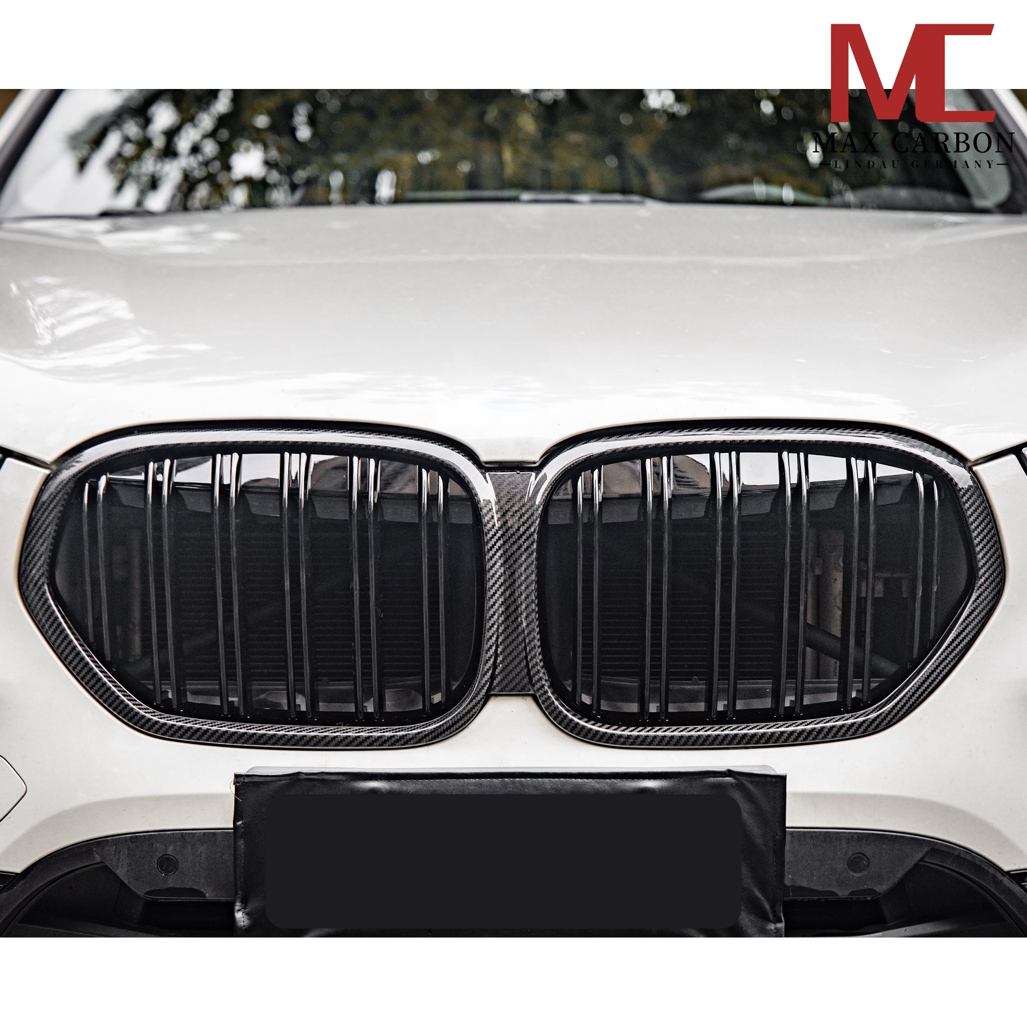 Dry Carbon Kühlergrill Nieren Gitter für BMW X1 F48