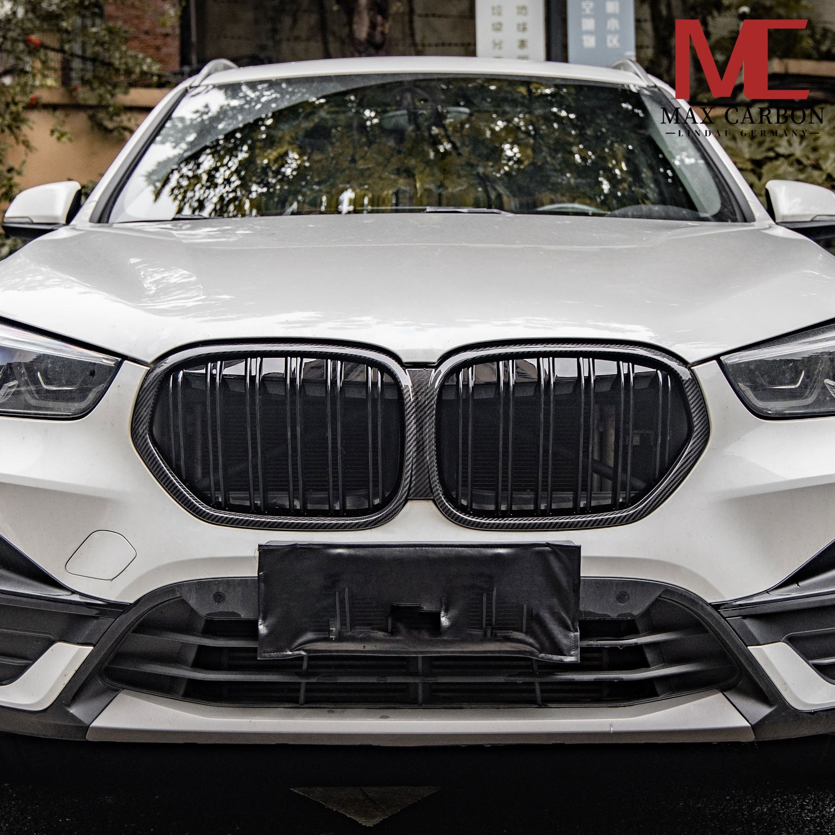 Dry Carbon Kühlergrill Nieren Gitter für BMW X1 F48