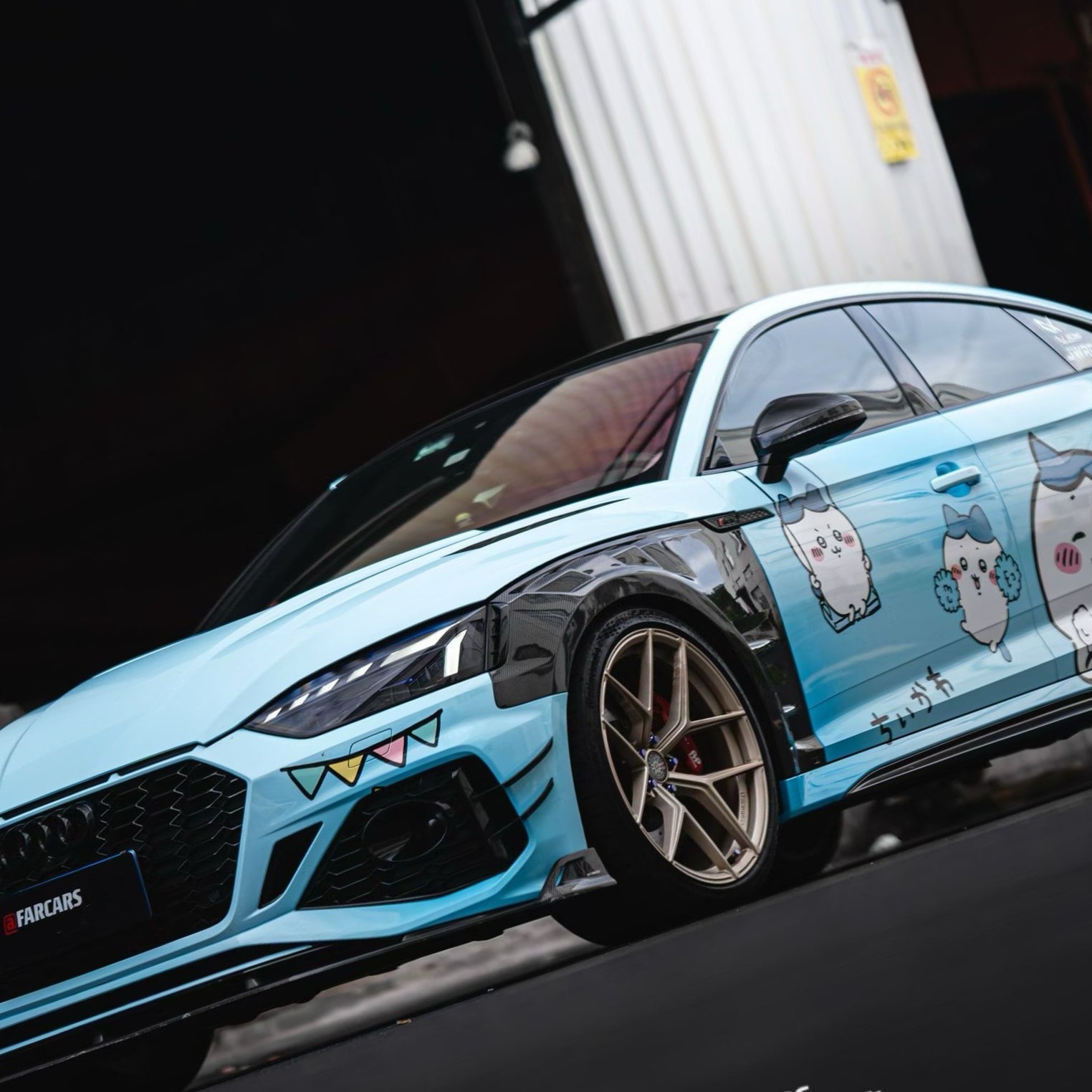 Dry Carbon Kotflügel Ersatz für Audi RS5 B9 Co-Branding mit AE DESIGN inkl. Eintragung