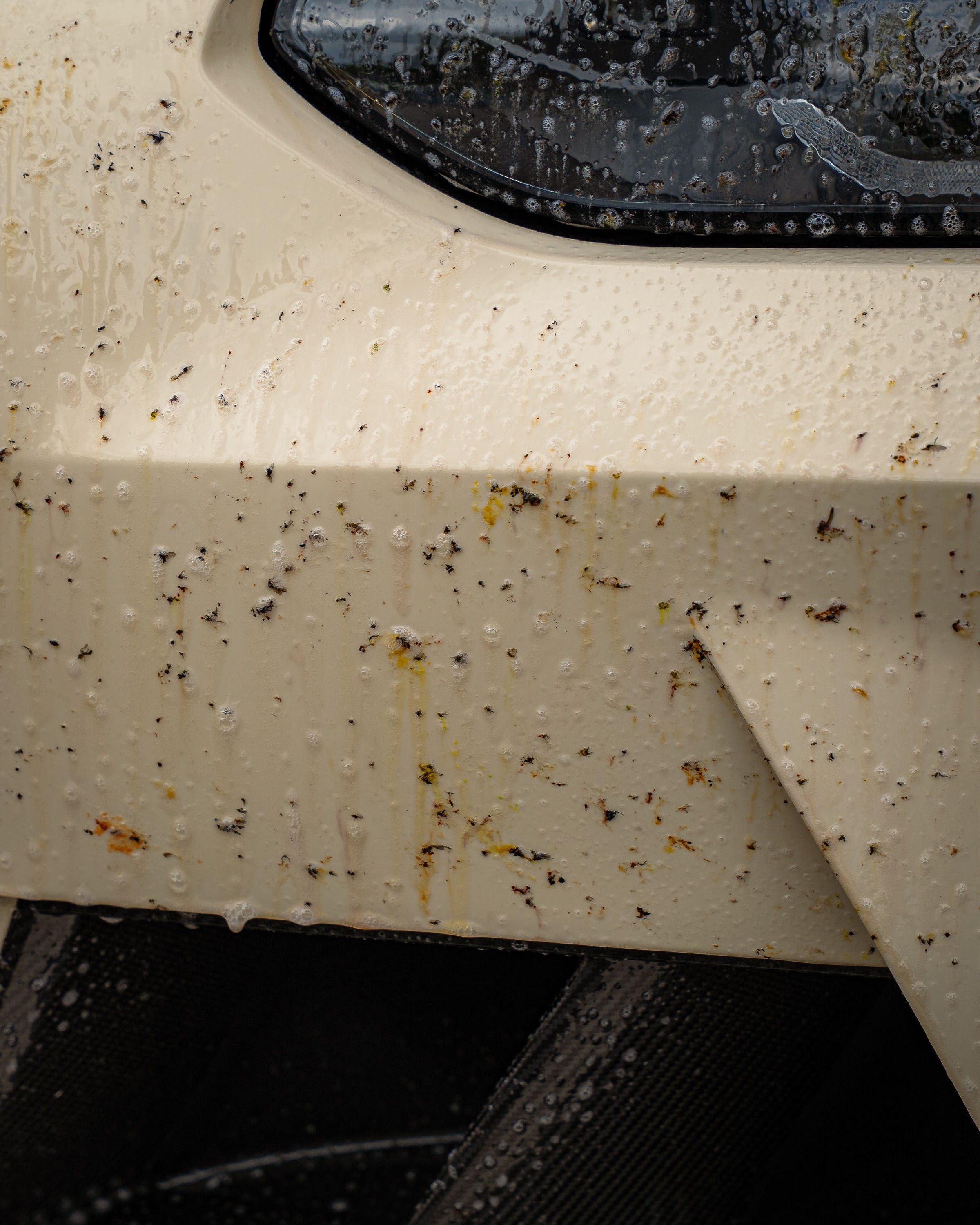 Getsdowned® Clean Duo – ShinyWheels & FLYDOWN