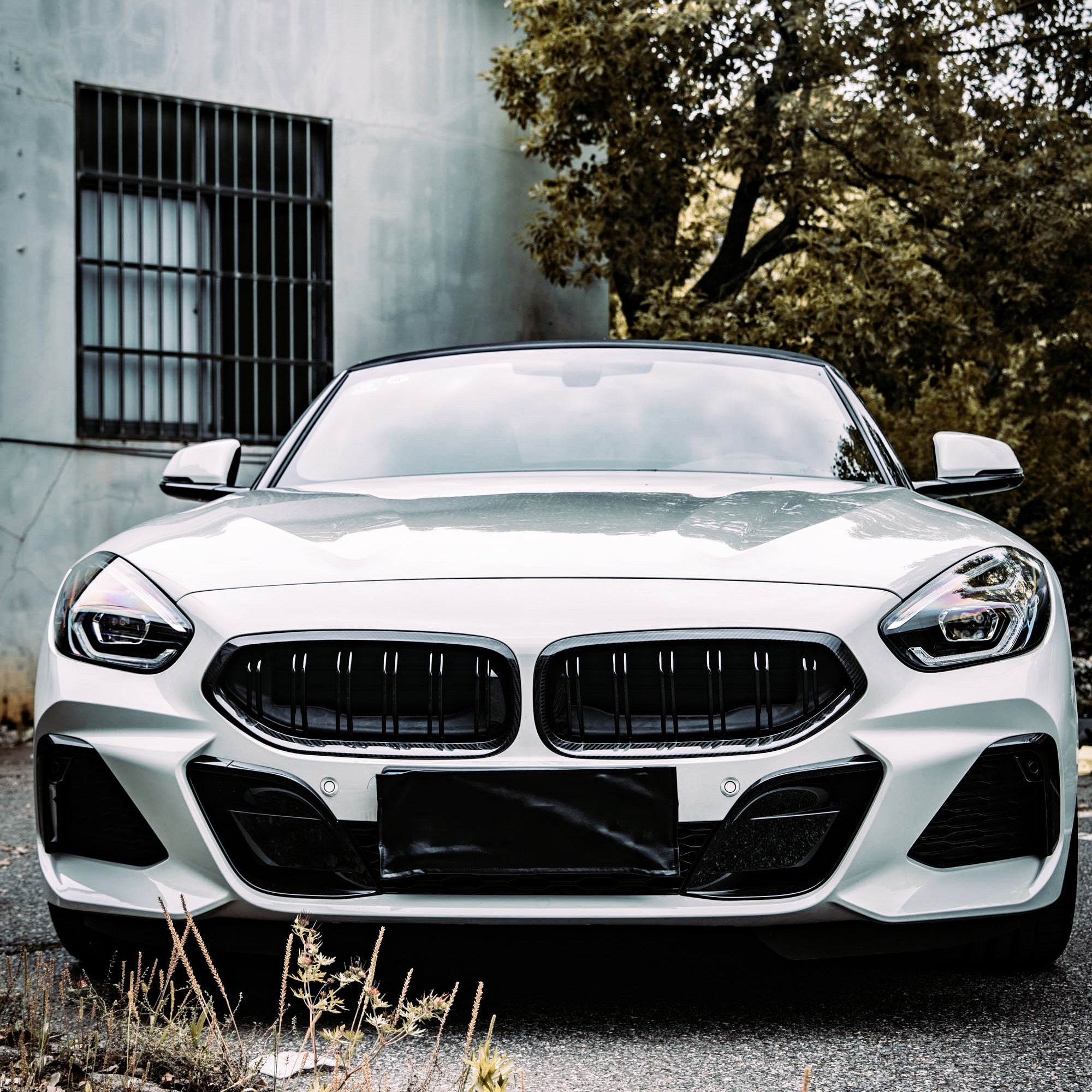 Dry Carbon Kühlergrill für BMW Z4 G29