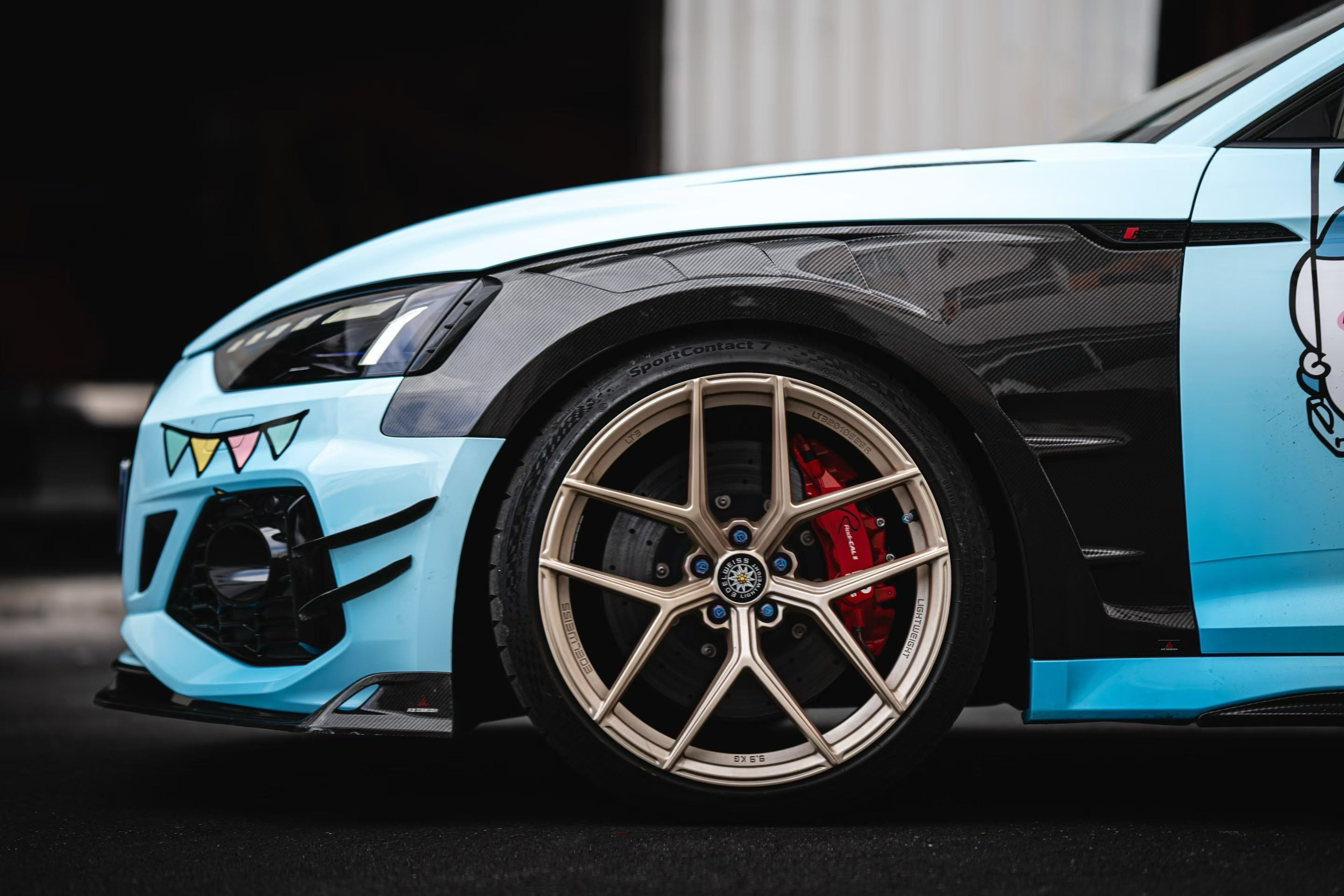 Dry Carbon Kotflügel Ersatz für Audi RS5 B9 Co-Branding mit AE DESIGN inkl. Eintragung