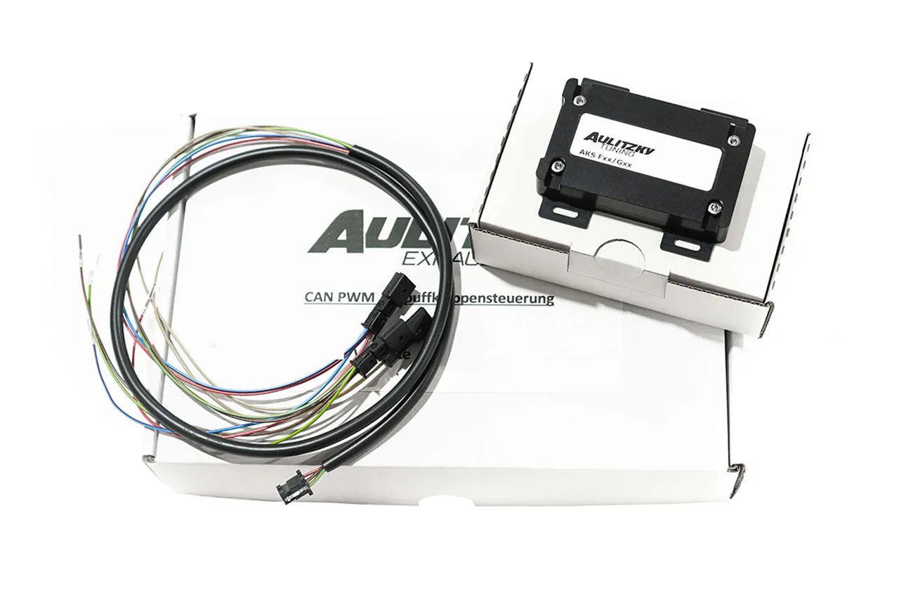 Aulitzky Exhaust mit Klapppensteuerung  passend für BMW M235i F44 (ECE) - Getsdowned