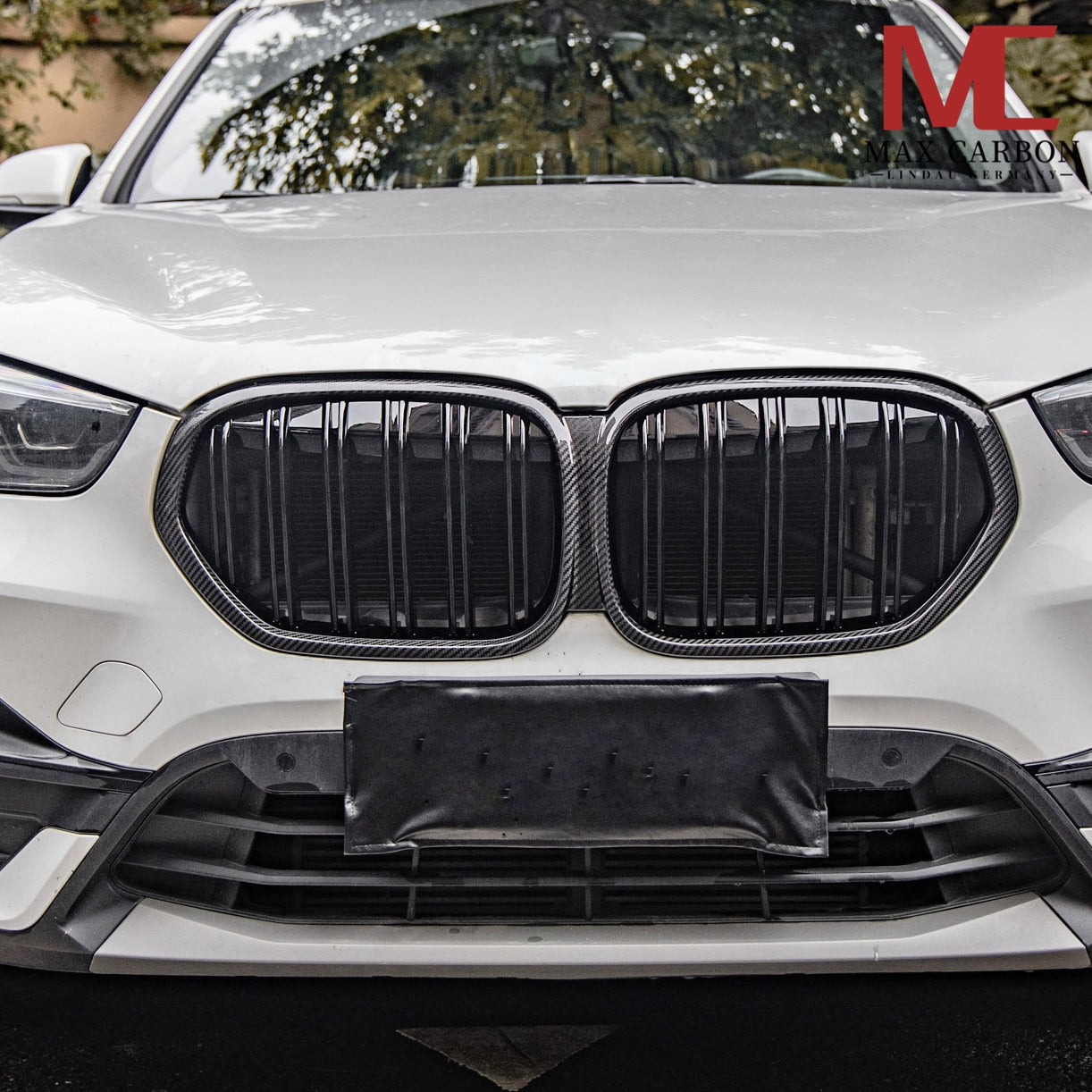 Dry Carbon Kühlergrill Nieren Gitter für BMW X1 F48 - Getsdowned